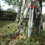 Sun and Shade Soil Thermometer Bundle