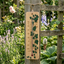 Brannan Ivy Wood Wall Thermometer