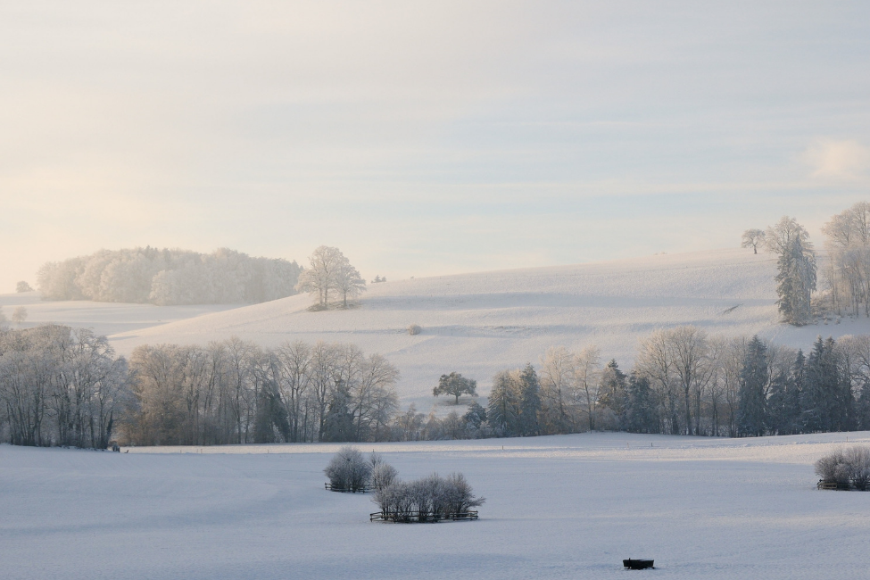 A White Christmas is only for Dreamers