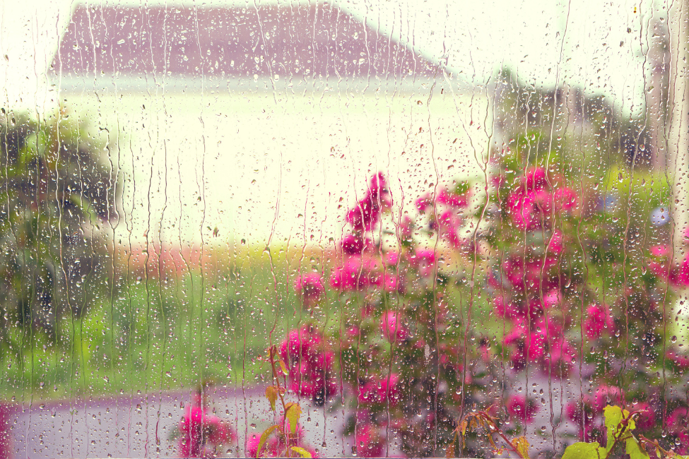 Has it Stopped Raining? UK Rainfall Explained