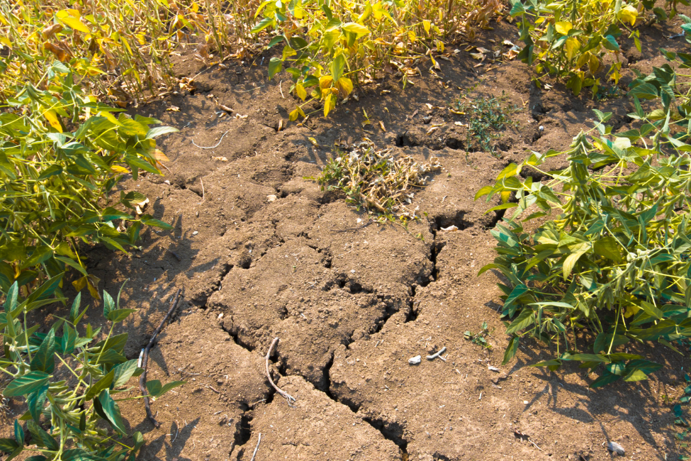 The Long Dry: How a Nation Built on Rain Ran Out of It