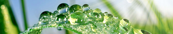 How To Mount Your Rain Gauge