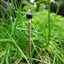 ClimeMET CM3011 Soil Thermometer