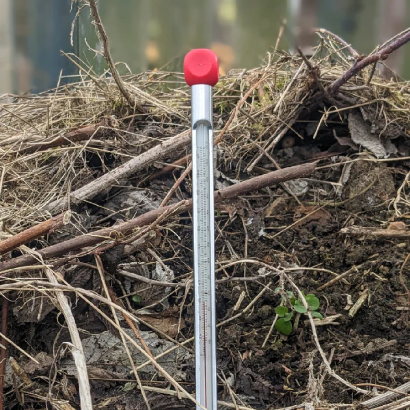 Brannan Gardener's Composting/Hotbed Thermometer Main image