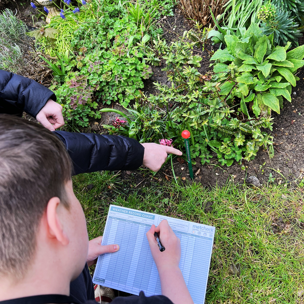 The Weather Lab: Observer