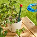 TFA Green Soil Thermometer