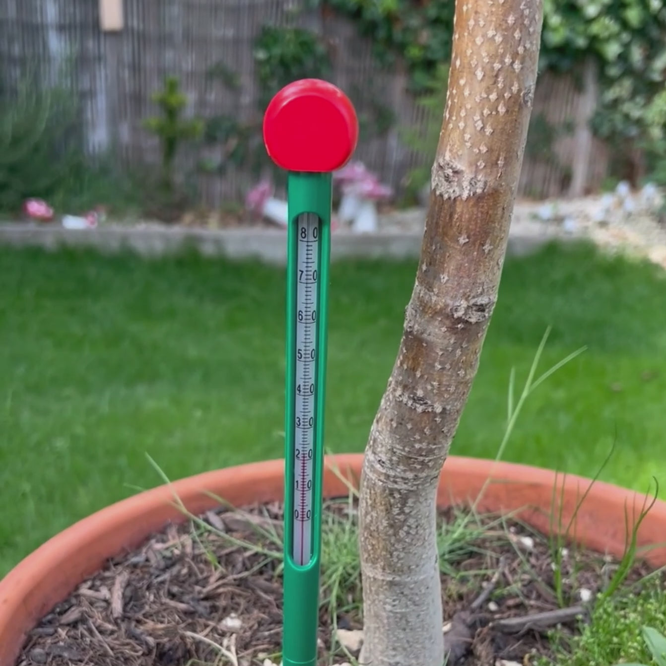 TFA Green Soil Thermometer