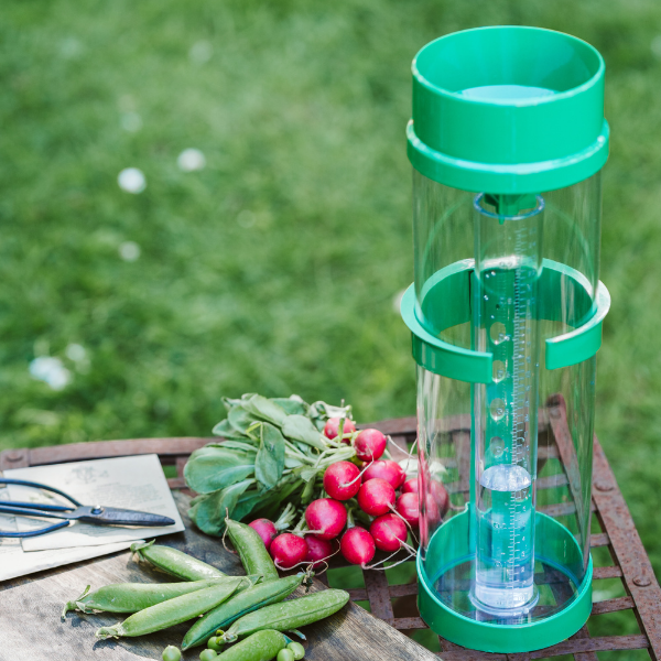 ClimeMET CM1016 Professional Manual Rain Gauge - Metcheck