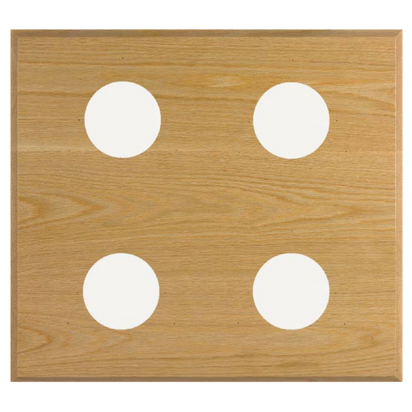 Maximum 4-Instrument Panel - Metcheck