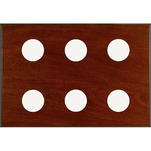 Maximum 6-Instrument Panel - Metcheck