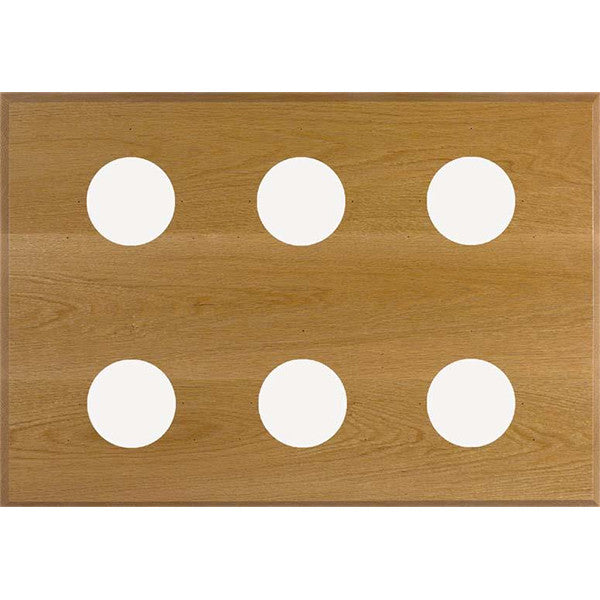 Maximum 6-Instrument Panel - Metcheck